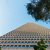 Photo from Transamerica Park