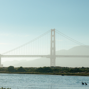 Image of Crissy Field with the Golden Gate Bridge