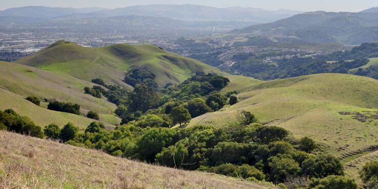 Dublin Hills Regional Park