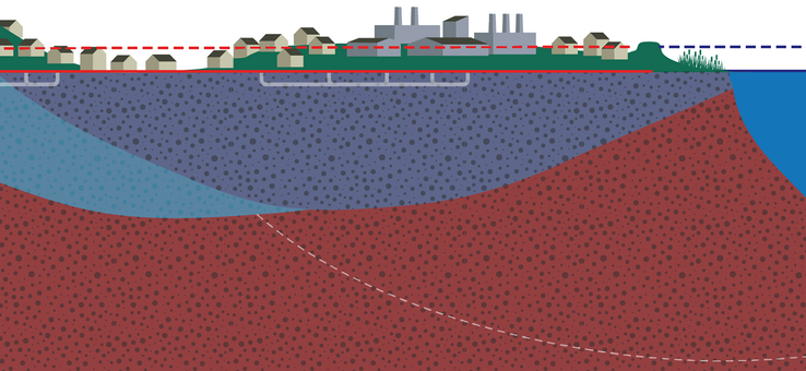 transect diagram of a shoreline community with groundwater underneath the soil