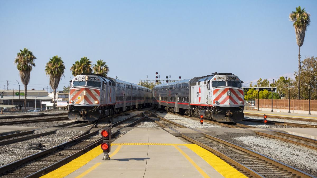 does caltrain allow dogs