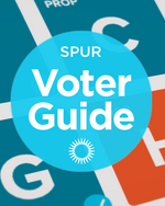 November 2024 Voter Guide